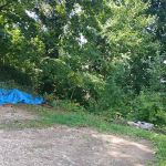 Pottsville Athletics