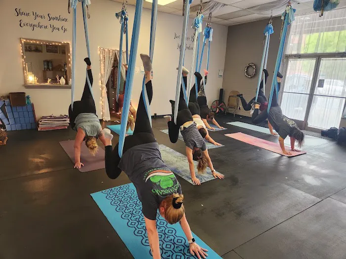 Schuylkill Aerial and Wellness Picture 8