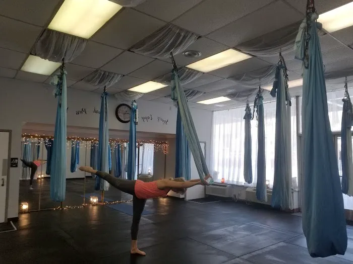 Schuylkill Aerial and Wellness Picture 9