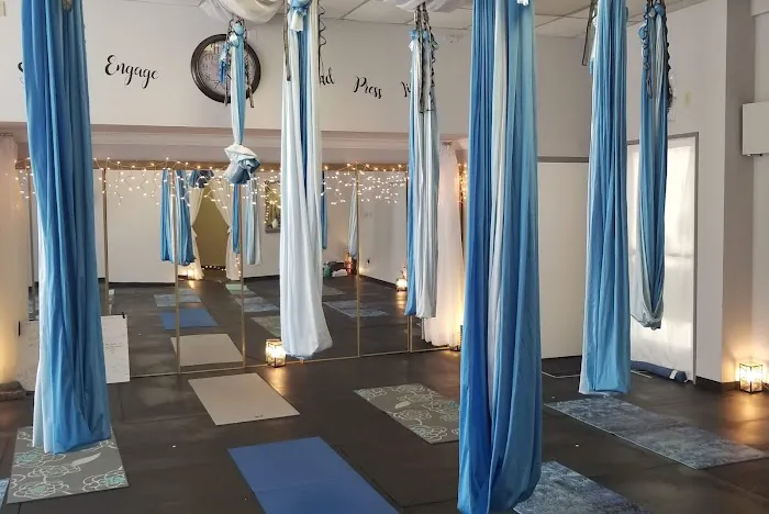 Schuylkill Aerial and Wellness Picture 1