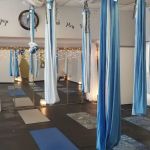 Schuylkill Aerial and Wellness