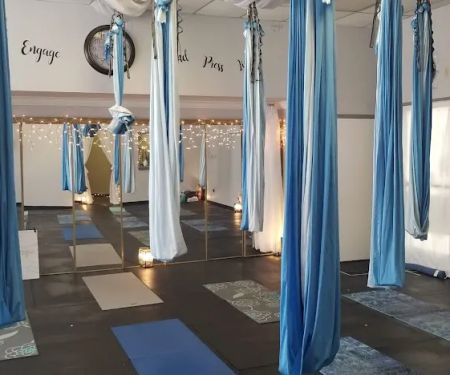 Schuylkill Aerial and Wellness