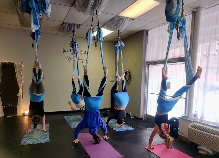 Schuylkill Aerial and Wellness Picture 10