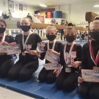 Pottsville Gymnastic Training ico