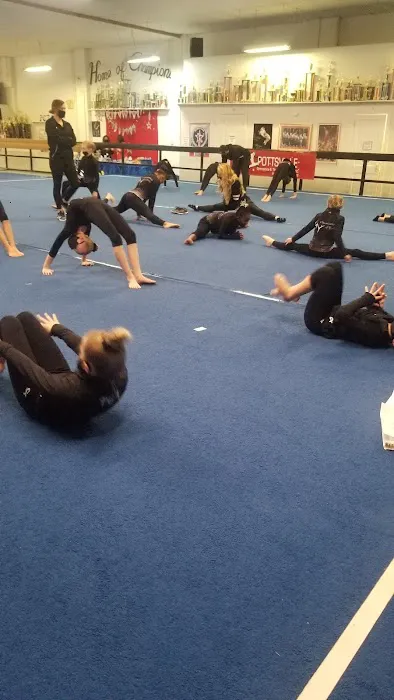 Pottsville Gymnastic Training Picture 2