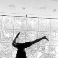 Damon Pro Fitness Studio ico
