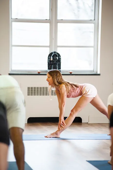 The Iyengar Yoga Center of the Lehigh Valley Picture 1