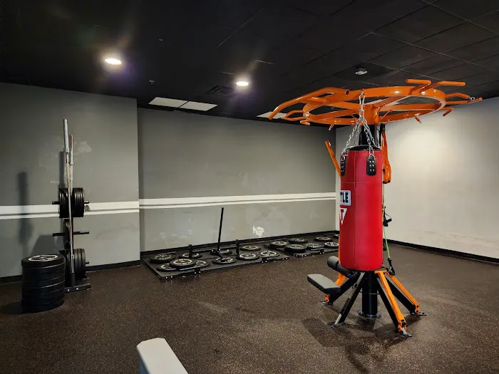 Big Rich Fitness Picture 6