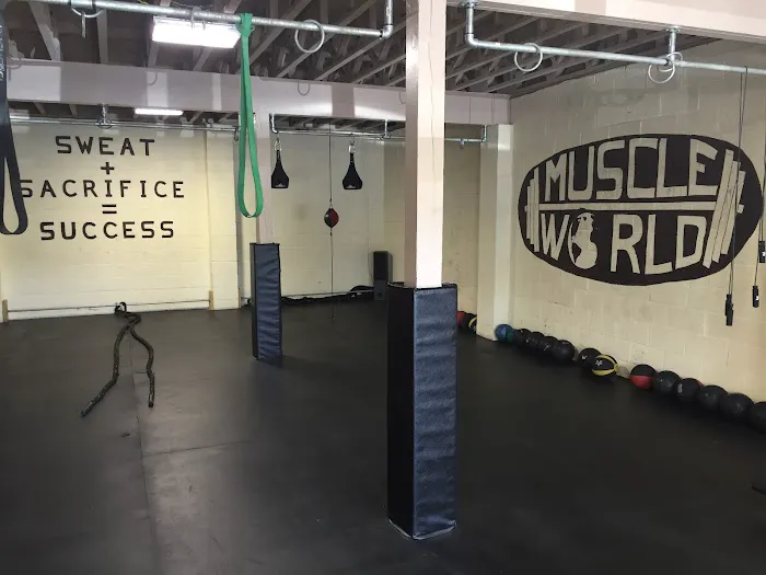 Muscle World Gym Picture 10