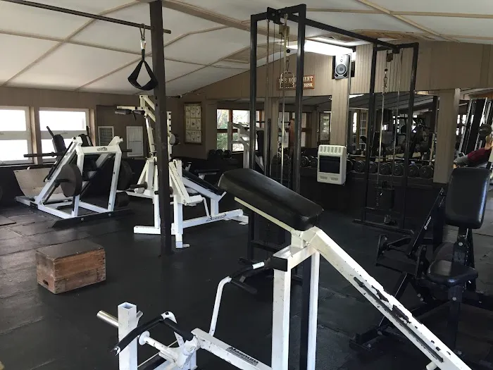Muscle World Gym Picture 5