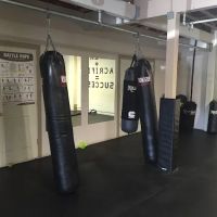 Muscle World Gym ico