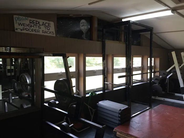 Muscle World Gym Picture 6