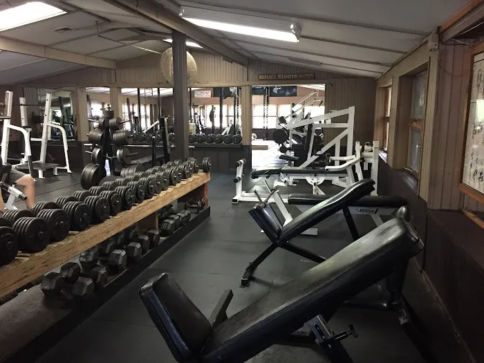 Muscle World Gym Picture 8