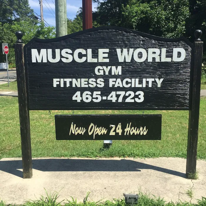 Muscle World Gym Picture 9