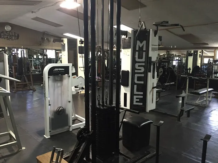 Muscle World Gym Picture 3