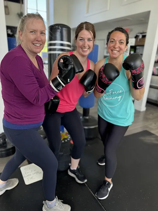 Flex Force Training Picture 1