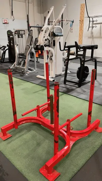 No Bull Training Picture 4