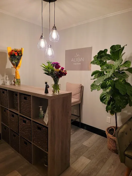 Align Yoga Studio Picture 1