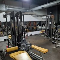 The Solebury Club ico