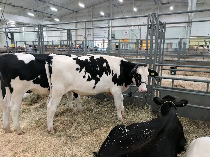 Utz Arena York Expo Picture 5