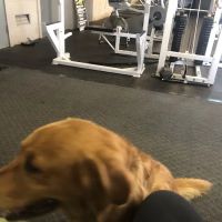 Lincolnway Sportcenter Inc ico