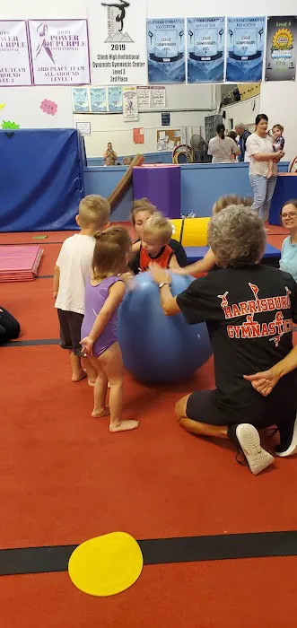 Harrisburg Gymnastics School Picture 5