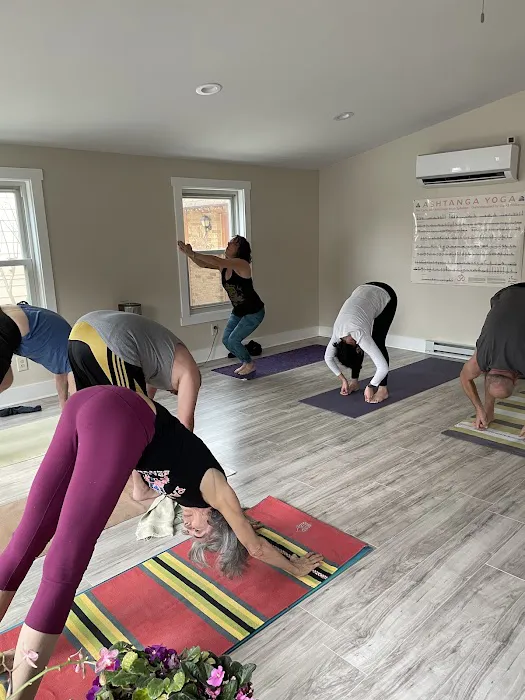 Asana Studio Picture 5