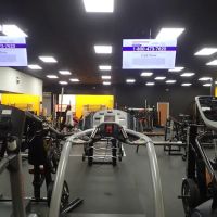 Zoo Health Club ico