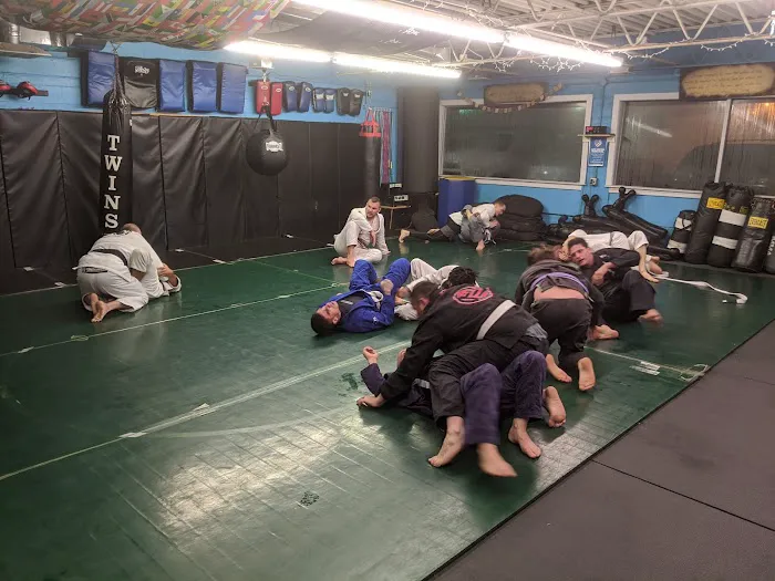 Wise Fighters and Fitness Picture 1
