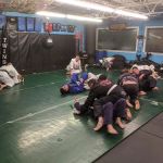 Wise Fighters and Fitness