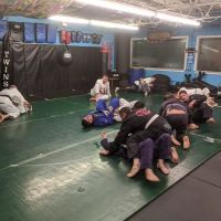 Wise Fighters and Fitness ico