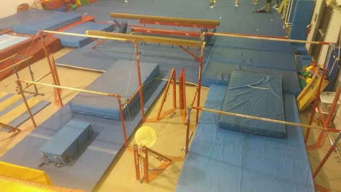 Joel Baba's School of Gymnastics Picture 1