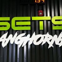 SETS Hybrid Training ico