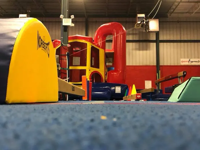 Dynamix Gymnastics Picture 1
