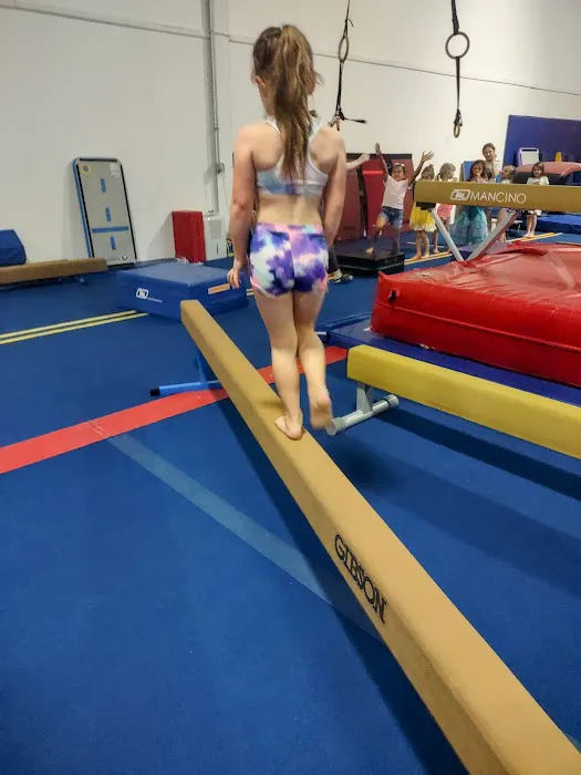 Dynamix Gymnastics Picture 2