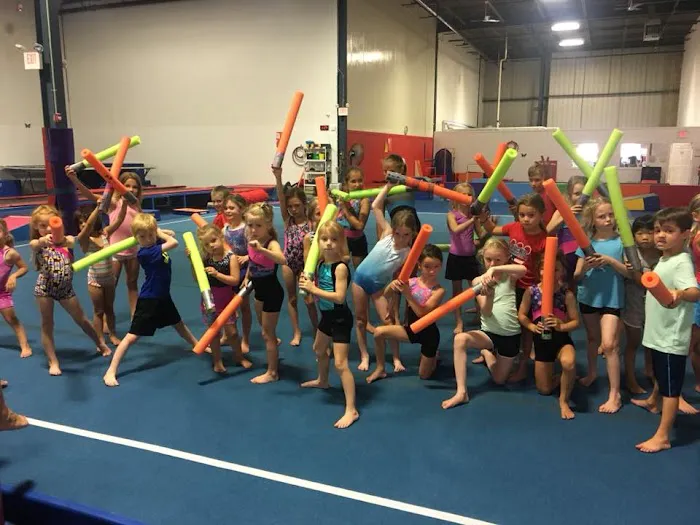 Dynamix Gymnastics Picture 3