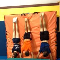 Leaps N Bounders Gymnastics ico