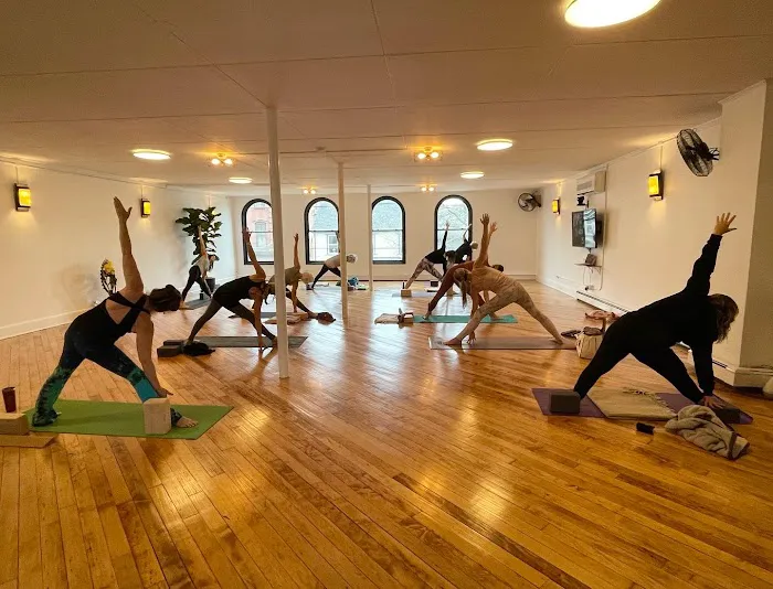 Dig Yoga Picture 9