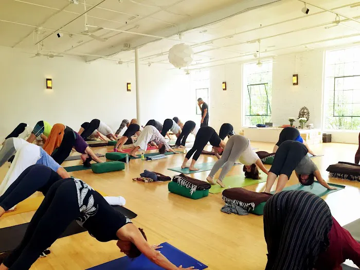 Dig Yoga Picture 1