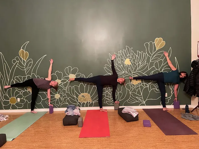 Wildflower Yoga Collective Picture 4