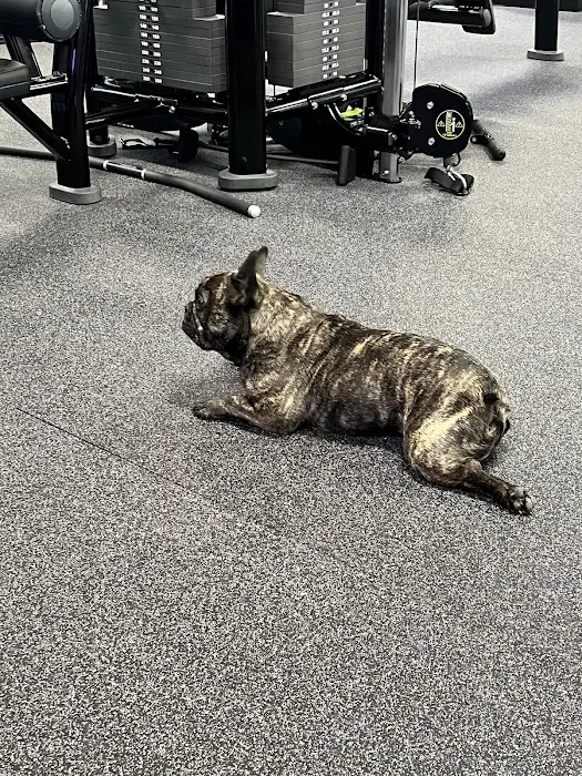 Triple P Fitness Picture 6