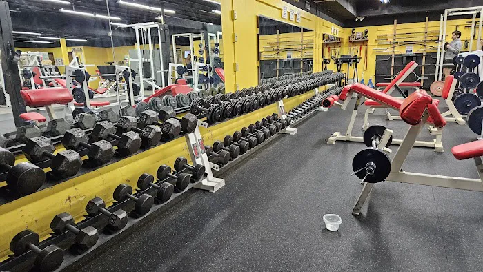 Train Yard Gym & Fitness Picture 5