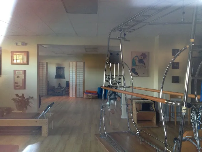 Body IQ Life Wellness Boutique Picture 6