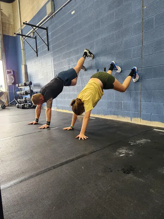 Steel Lotus Fitness Company Picture 6
