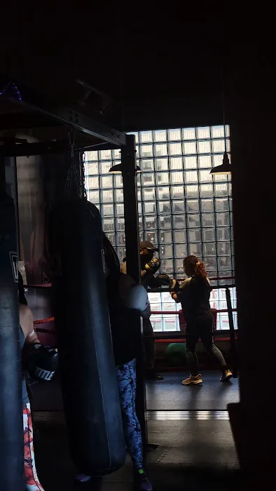 TITLE Boxing Club-Camp Hill Picture 4
