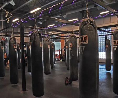 TITLE Boxing Club-Camp Hill