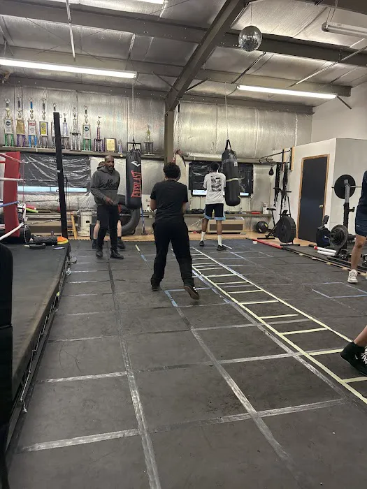 Kingside Boxing & Fitness Picture 4