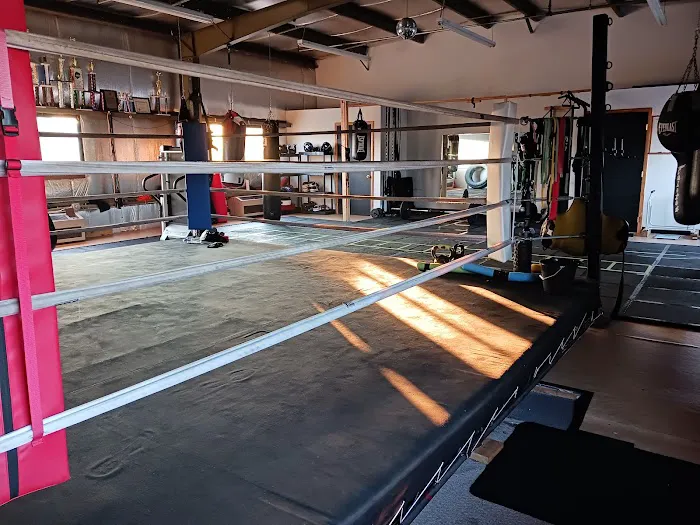 Kingside Boxing & Fitness Picture 5