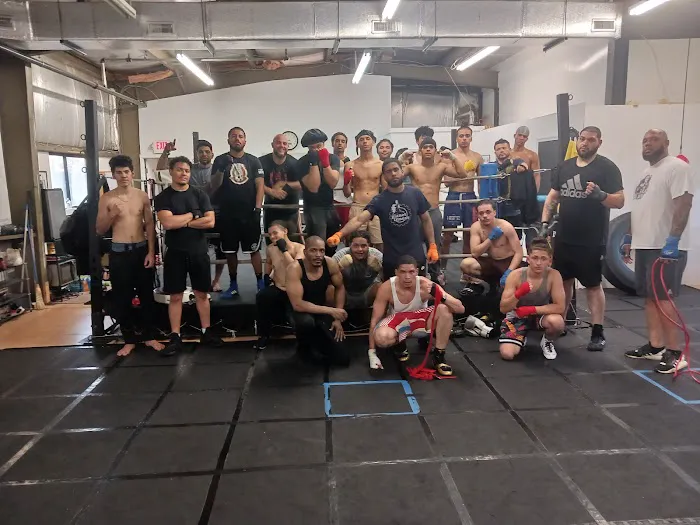 Kingside Boxing & Fitness Picture 6
