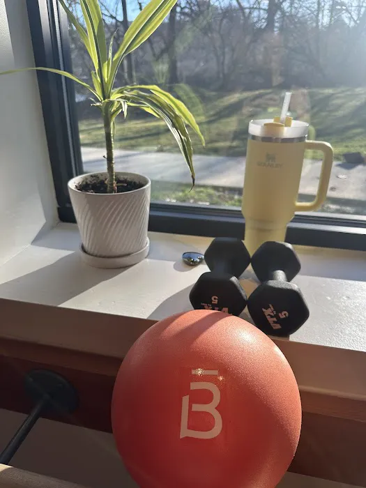 barre3 Picture 4